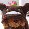 Wholesale Customization 2022 New Pet Dog Clothes Pet Dog Warm Coat With Hooded Cute Animal Totoro Pack