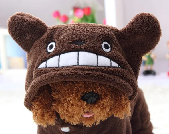 Wholesale Customization 2022 New Pet Dog Clothes Pet Dog Warm Coat With Hooded Cute Animal Totoro Pack