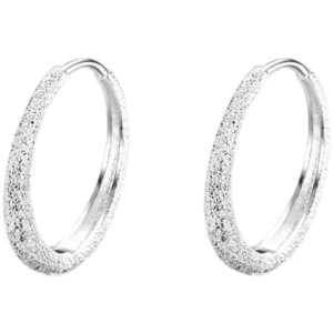 H102817eaf6d3402c98d3efc3f3f7b1f01.webp 925 Sterling Silver Hot Sale Korean Round Earrings Simple Temperament Exquisite Hot Semale Sexy Jewelry Gift