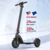 Made in China Shenzhen 2 Wheels Adult 10 Inch 36V Foldable Powerful Motor Electric Scooters With Customize Design Christmas Gift