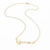 H42ba77e6fef9480d88901e79a581fd291.webp Stainless Steel Heartbeat Necklace Personalized Custom Birth Date Fashion Birthday Gift Women Jewelry Necklaces