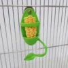 H812008b857ec427fab3957966b6637d7v.webp Parrot Feeder With Standing Rack Cuttlefish Bone Holder Plastic Hanging Food Container Cage Accessories Pet Bird Supplies