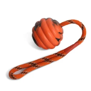 HTB1T0xBbEzrK1RjSspmq6AOdFXaa.webp Durable Pet Interactive Exercise Ball Toys Dog Reward Chew Toy for Dog Tooth Clean Ball Toys